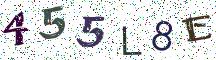 455L8E