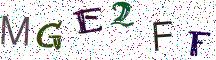 MGE2FF