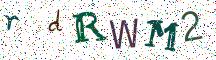 rdRWM2