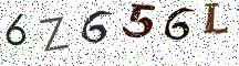 6Z656L