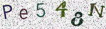 Pe548N