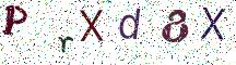 PrXd8X