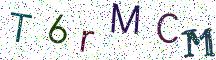 T6rMCM