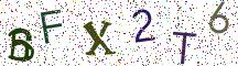 BFX2T6