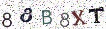88B8XT