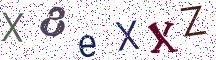 X8eXXZ