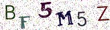 BF5M5Z