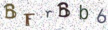 BFrBb6