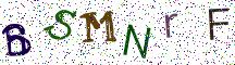 BSMNrF