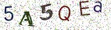 5A5QEa