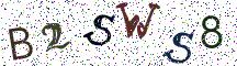 B2SWS8