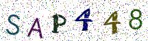 SAP448