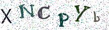 XNCPYb