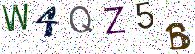 W4QZ5B