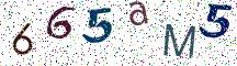 665aM5