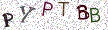 PYPTBB