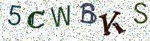 5CWBKS