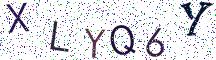 XLYQ6Y