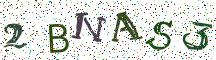 2BNAS3
