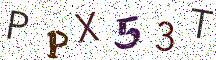 PPX53T