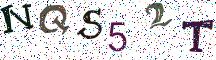 NQS52T