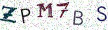 ZPM7BS