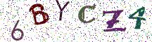 6BYCZ4