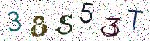 38S53T