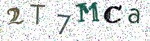 2T7MCa