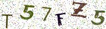 T57FZ5