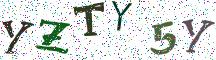 YZTY5Y