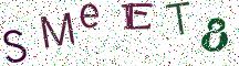 SMeET8