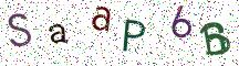 SaaP6B