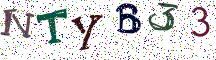 NTYB33