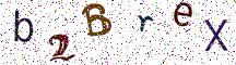 b2BreX