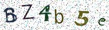 BZ4b5e