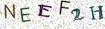 NEEF2H