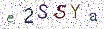 e2SSYa