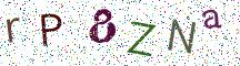 rP8ZNa