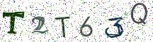 T2T63Q