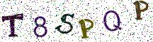 T8SPQP
