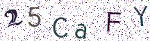 25CaFY
