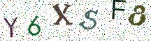 Y6XSF8