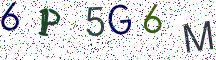 6P5G6M