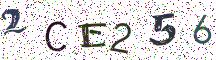 2CE256
