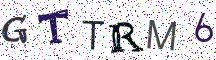 GTTRM6