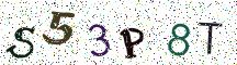 S53P8T