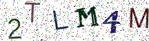 2TLM4M