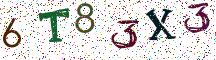 6T83X3