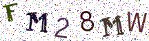 FM28MW